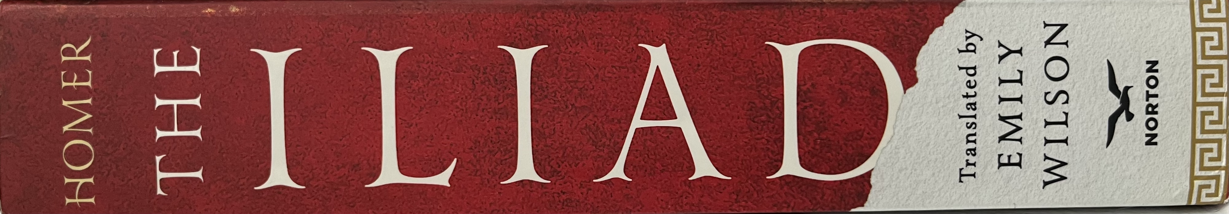 The Iliad